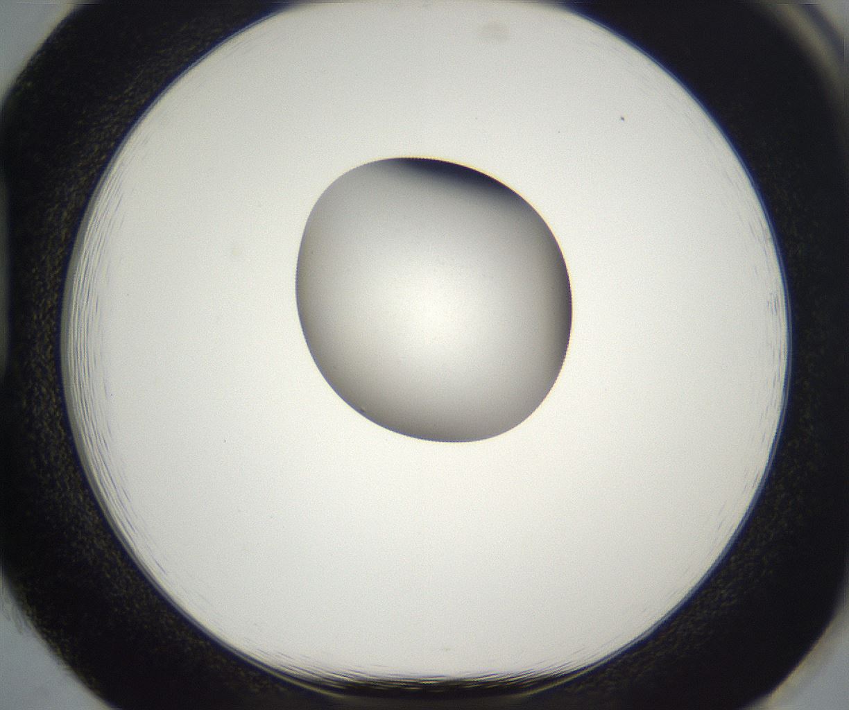 folderID393_plateID2393_batchID11277_wellNum85_profileID1_d1_r177175_ef.jpg