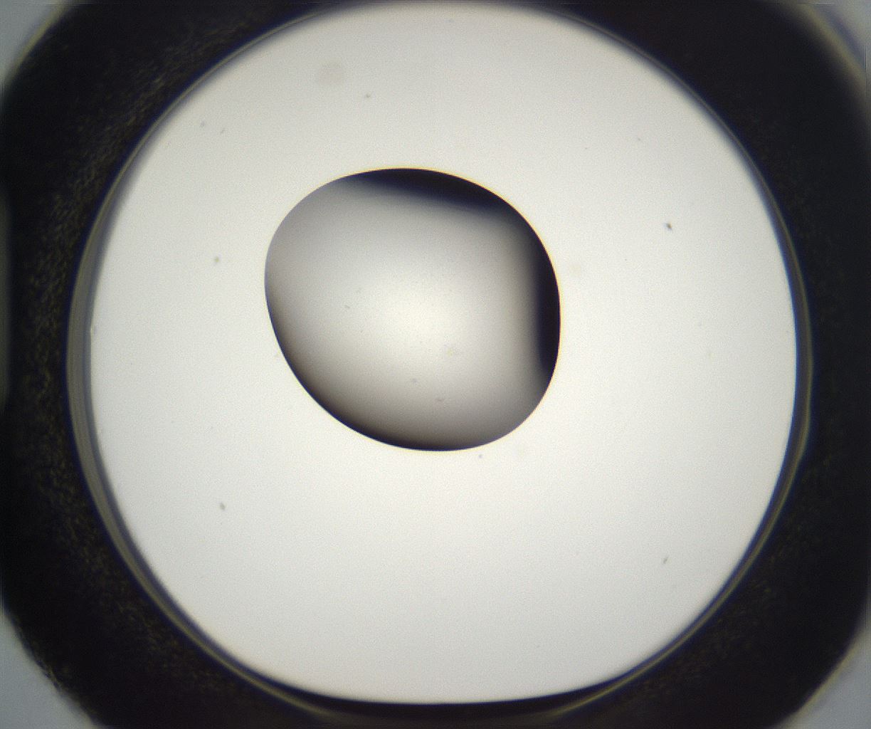 folderID393_plateID2393_batchID11277_wellNum87_profileID1_d1_r177177_ef.jpg