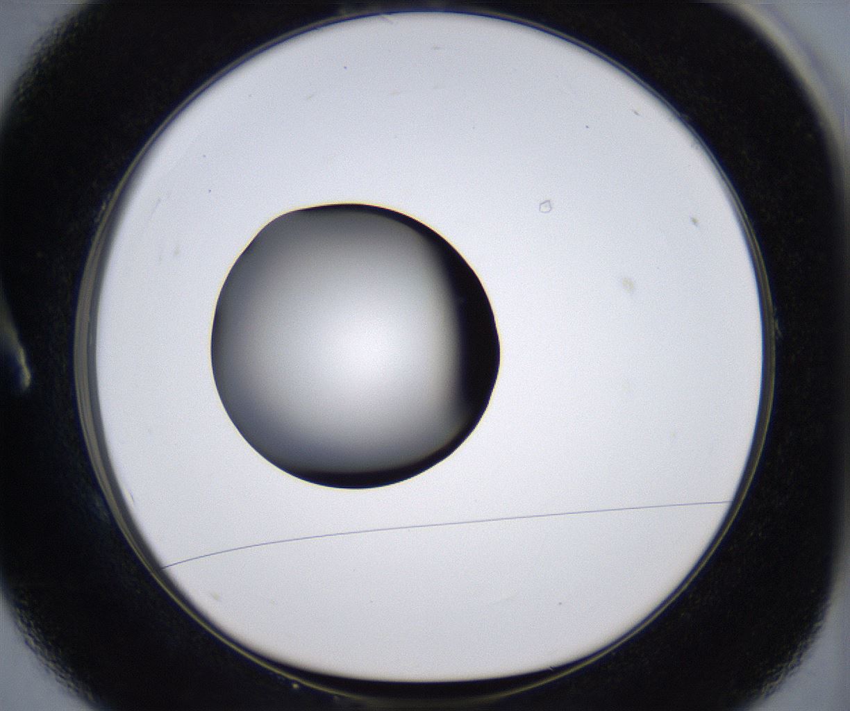 folderID394_plateID2394_batchID11279_wellNum1_profileID1_d1_r176515_ef.jpg