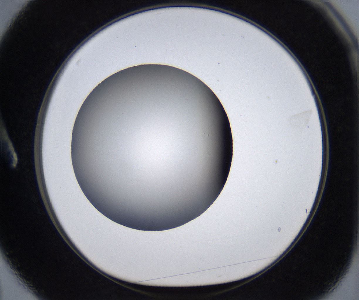 folderID394_plateID2394_batchID11279_wellNum3_profileID1_d1_r176517_ef.jpg