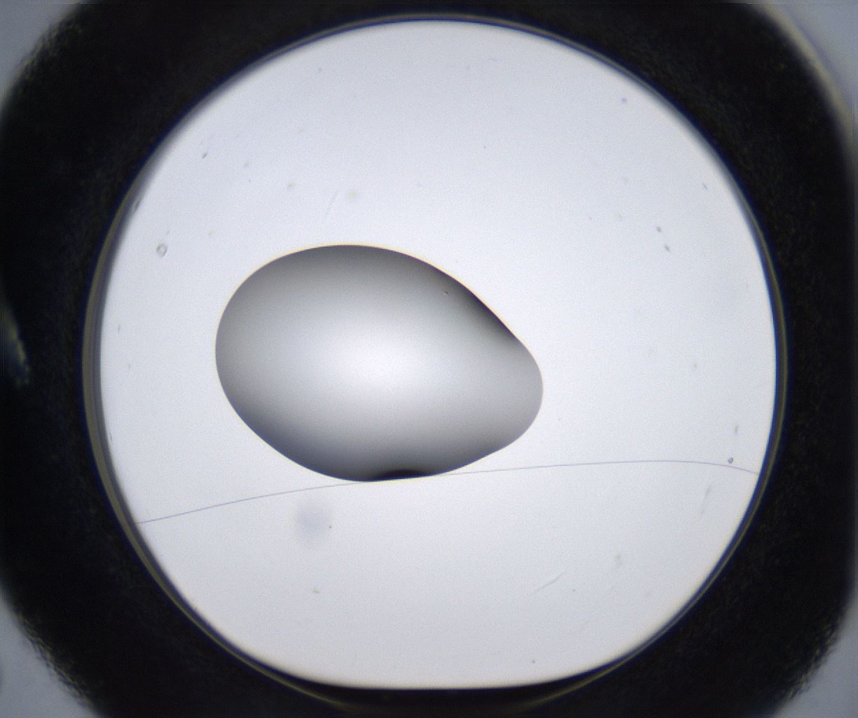 folderID394_plateID2394_batchID11279_wellNum5_profileID1_d1_r176519_ef.jpg