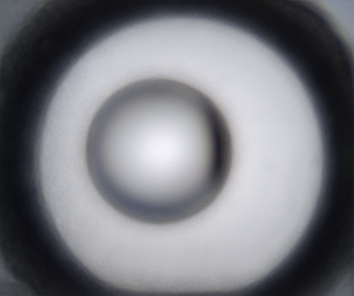 folderID394_plateID2394_batchID11279_wellNum70_profileID1_d1_r176584_ef.jpg