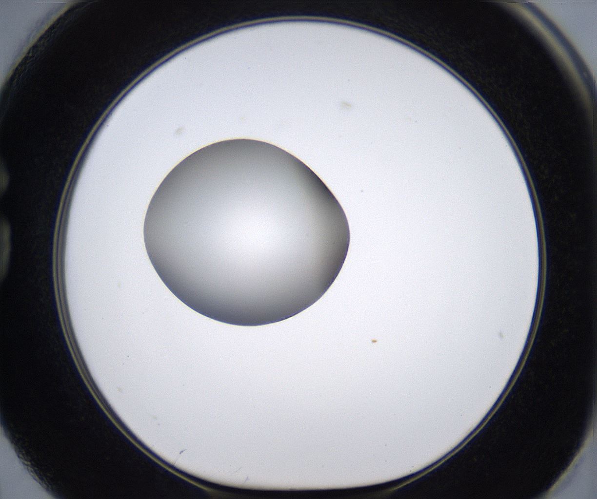 folderID394_plateID2394_batchID11279_wellNum74_profileID1_d1_r176588_ef.jpg