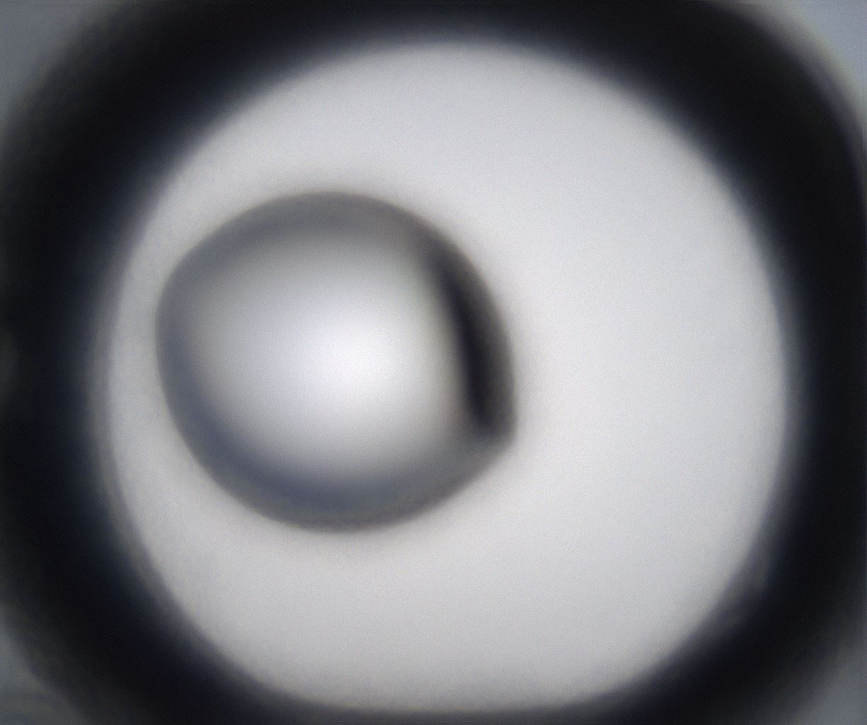 folderID394_plateID2394_batchID11279_wellNum82_profileID1_d1_r176596_ef.jpg