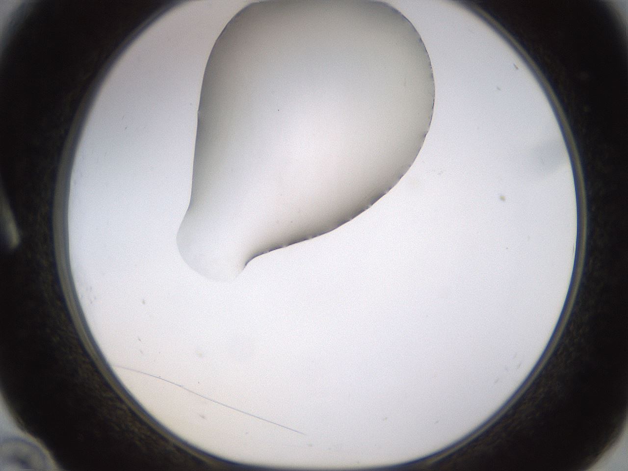 folderID395_plateID1395_batchID5058_wellNum10_profileID1_d1_r85659_ef.jpg