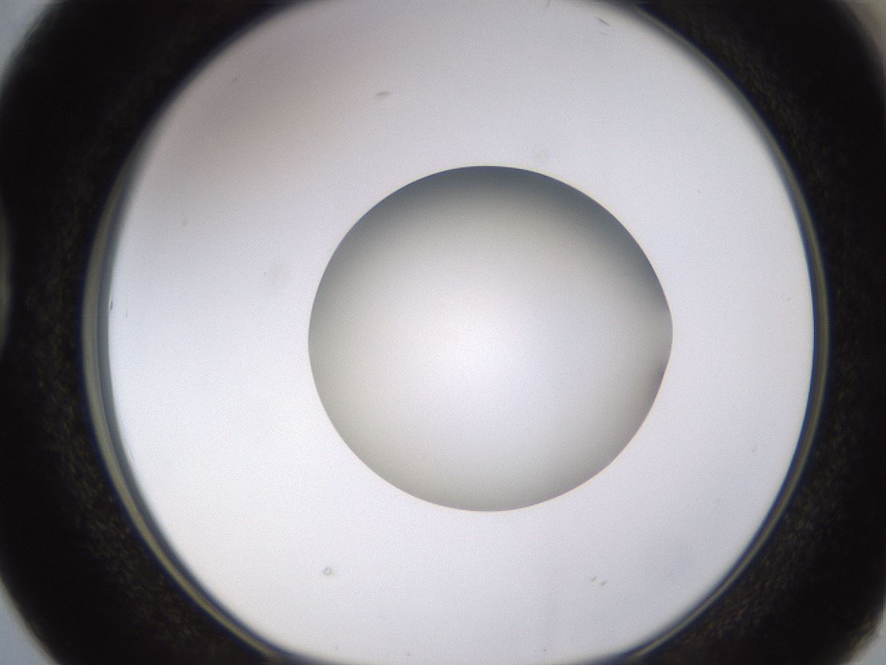folderID395_plateID1395_batchID5058_wellNum38_profileID1_d1_r85687_ef.jpg