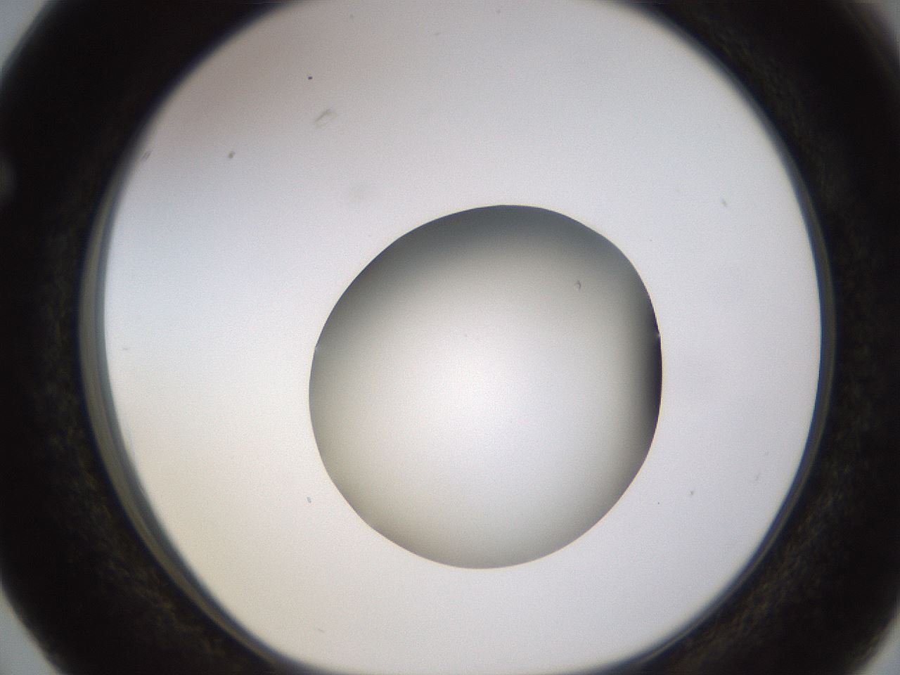 folderID395_plateID1395_batchID5058_wellNum63_profileID1_d1_r85712_ef.jpg
