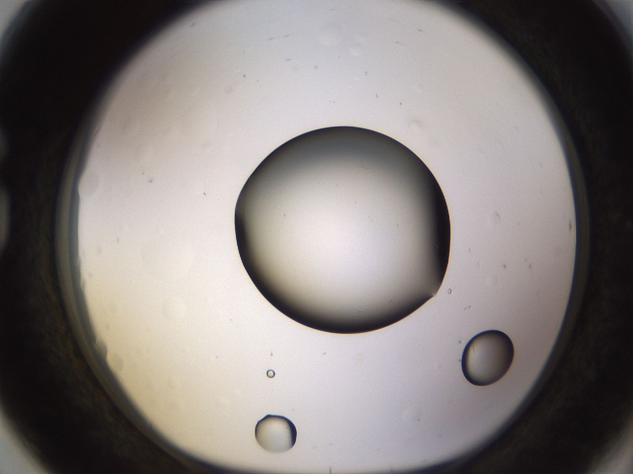 folderID395_plateID1395_batchID5058_wellNum80_profileID1_d1_r85729_ef.jpg
