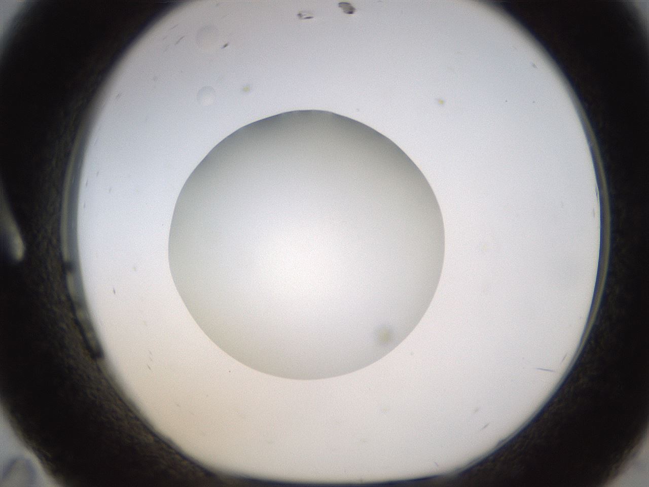 folderID395_plateID1395_batchID5058_wellNum11_profileID1_d1_r85660_ef.jpg