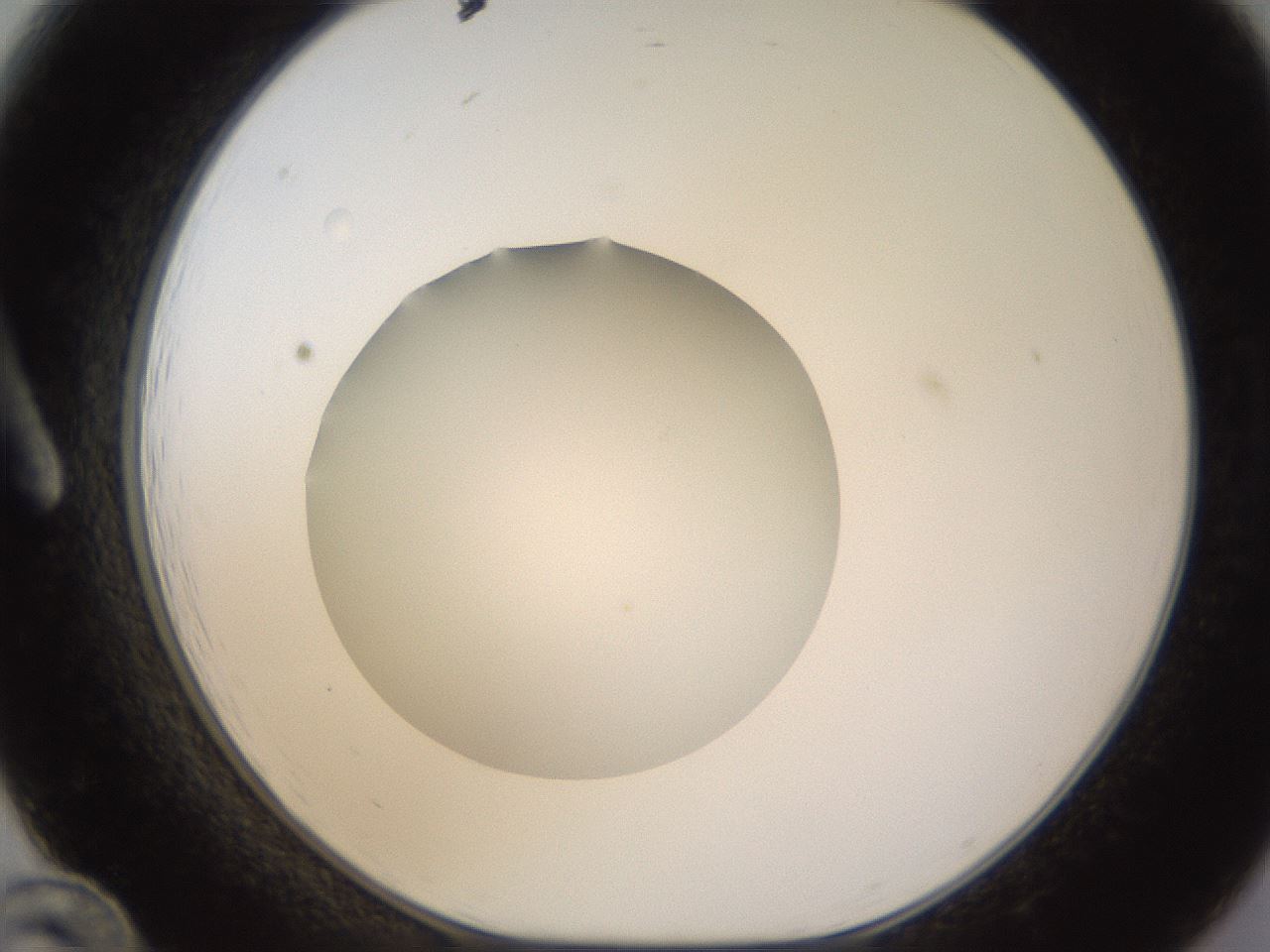 folderID395_plateID1395_batchID5058_wellNum12_profileID1_d1_r85661_ef.jpg