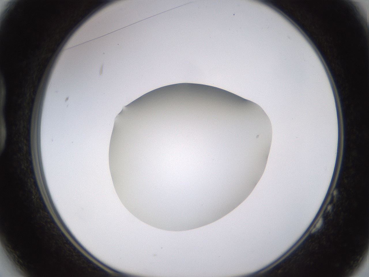 folderID395_plateID1395_batchID5058_wellNum14_profileID1_d1_r85663_ef.jpg