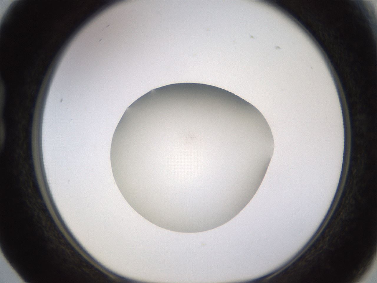 folderID395_plateID1395_batchID5058_wellNum17_profileID1_d1_r85666_ef.jpg