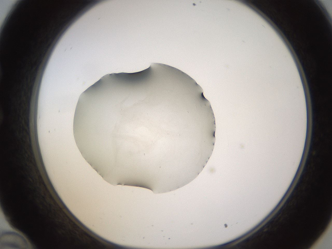 folderID395_plateID1395_batchID5058_wellNum34_profileID1_d1_r85683_ef.jpg