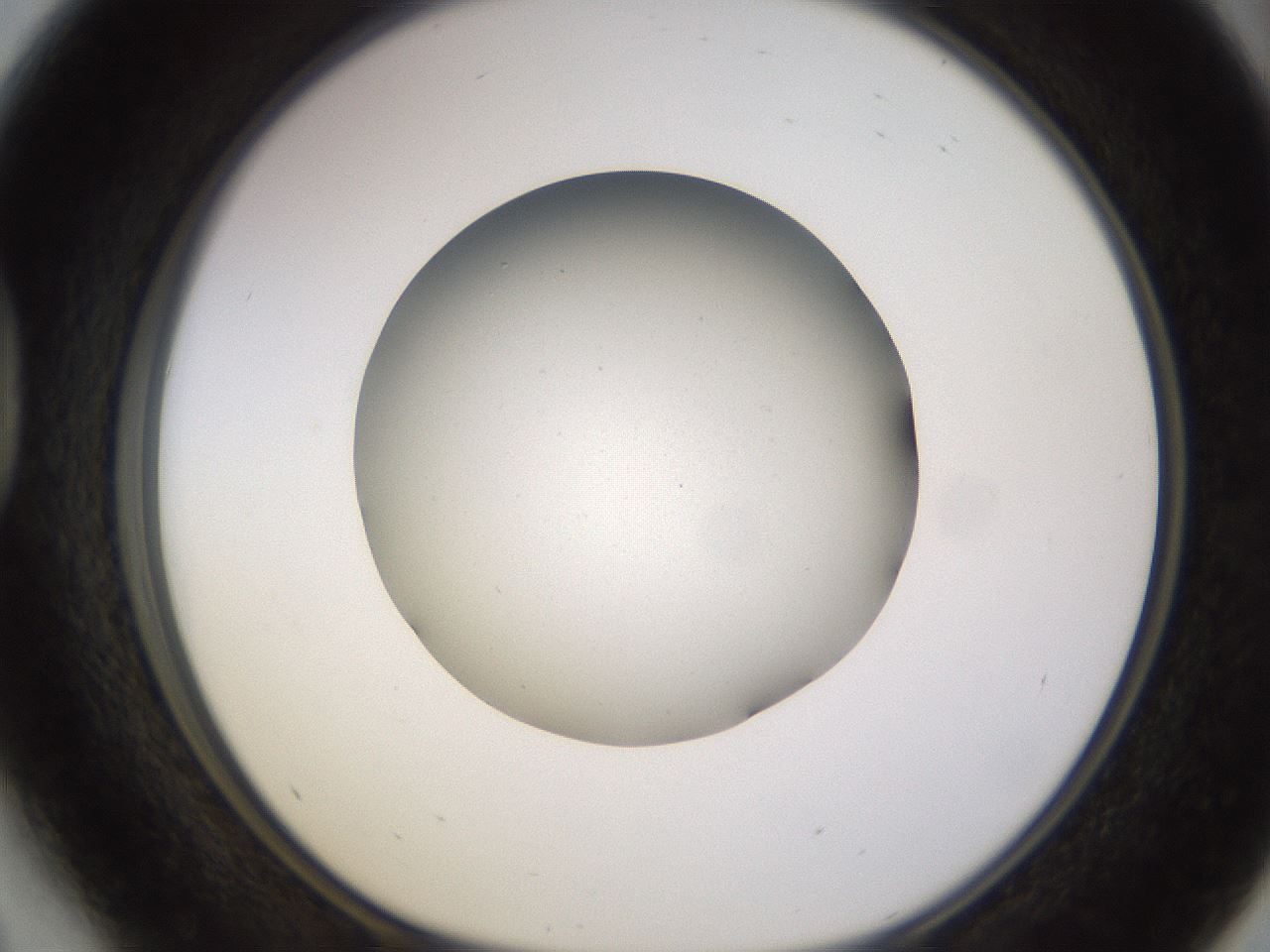 folderID395_plateID1395_batchID5058_wellNum41_profileID1_d1_r85690_ef.jpg