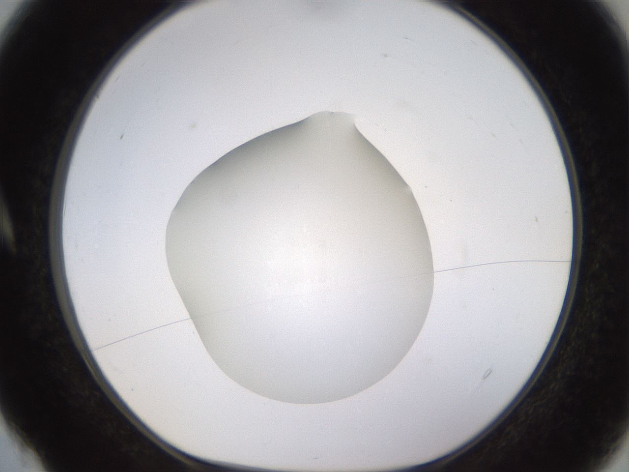 folderID395_plateID1395_batchID5058_wellNum4_profileID1_d1_r85653_ef.jpg