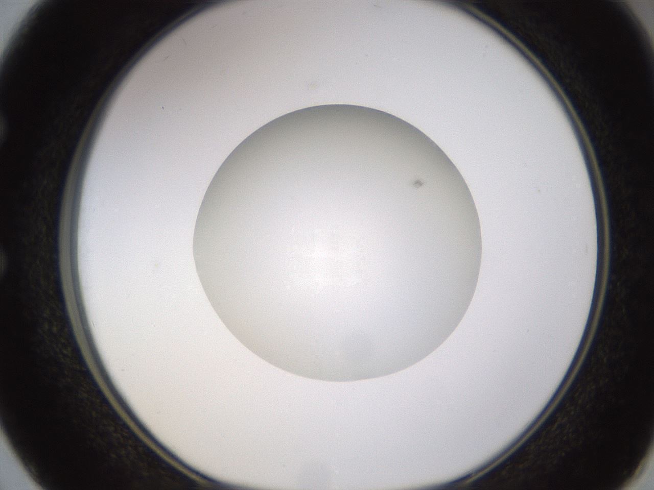 folderID395_plateID1395_batchID5058_wellNum50_profileID1_d1_r85699_ef.jpg