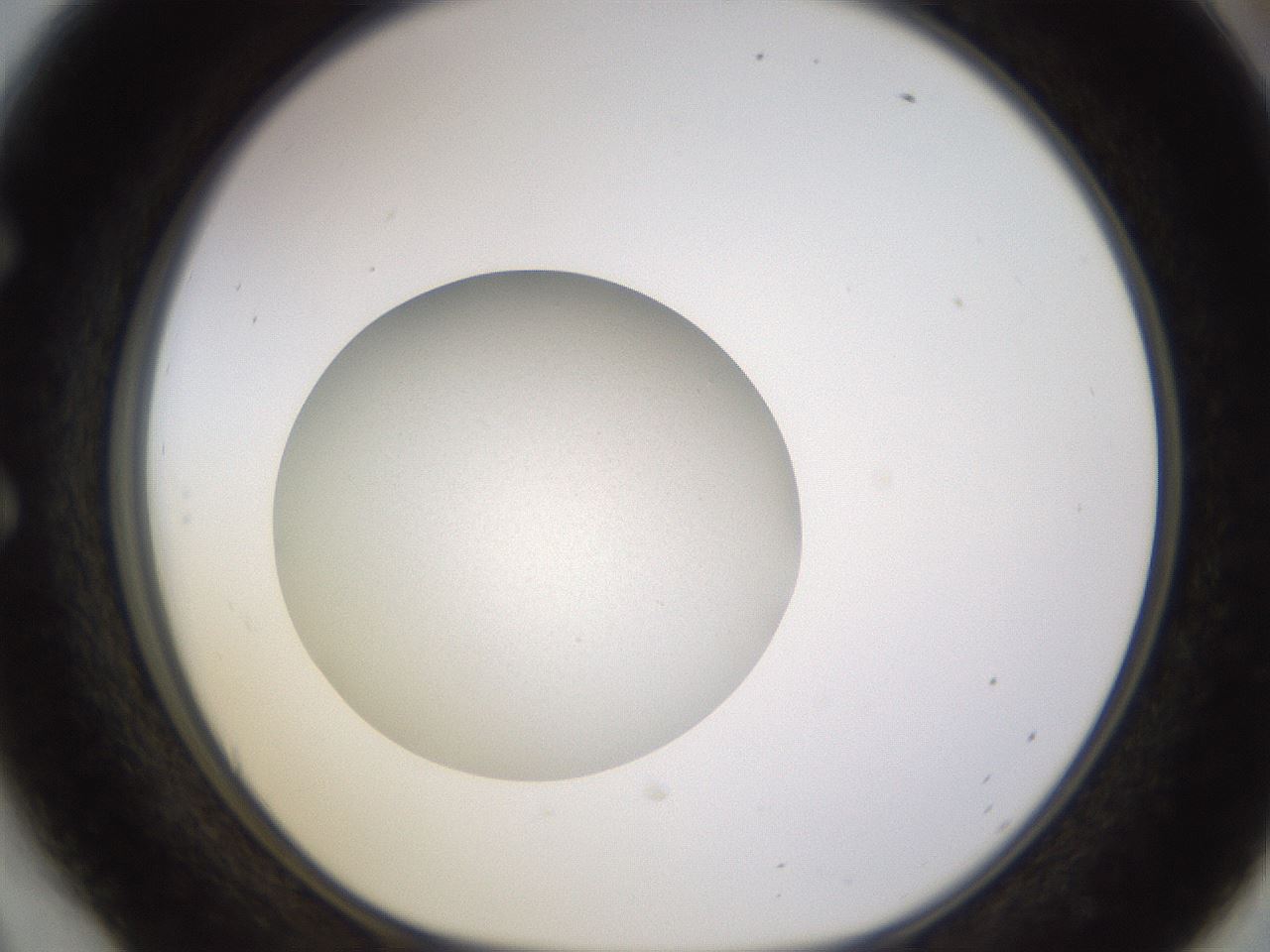 folderID395_plateID1395_batchID5058_wellNum54_profileID1_d1_r85703_ef.jpg