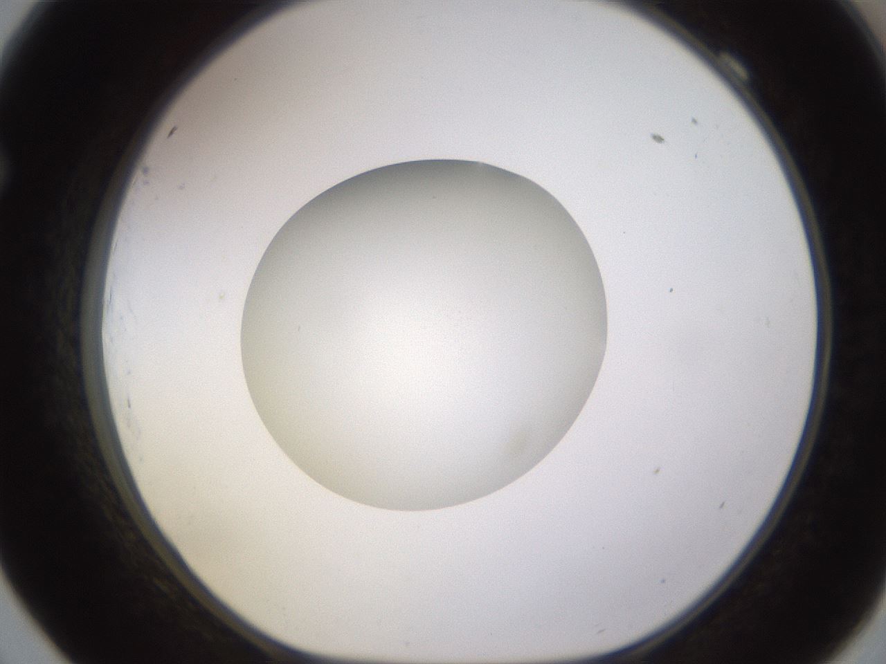 folderID395_plateID1395_batchID5058_wellNum69_profileID1_d1_r85718_ef.jpg