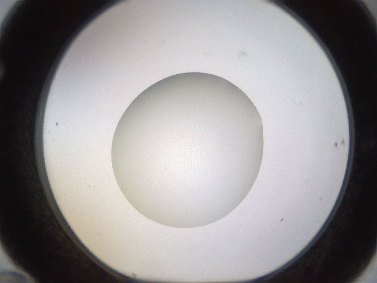 folderID395_plateID1395_batchID5058_wellNum70_profileID1_d1_r85719_ef.jpg