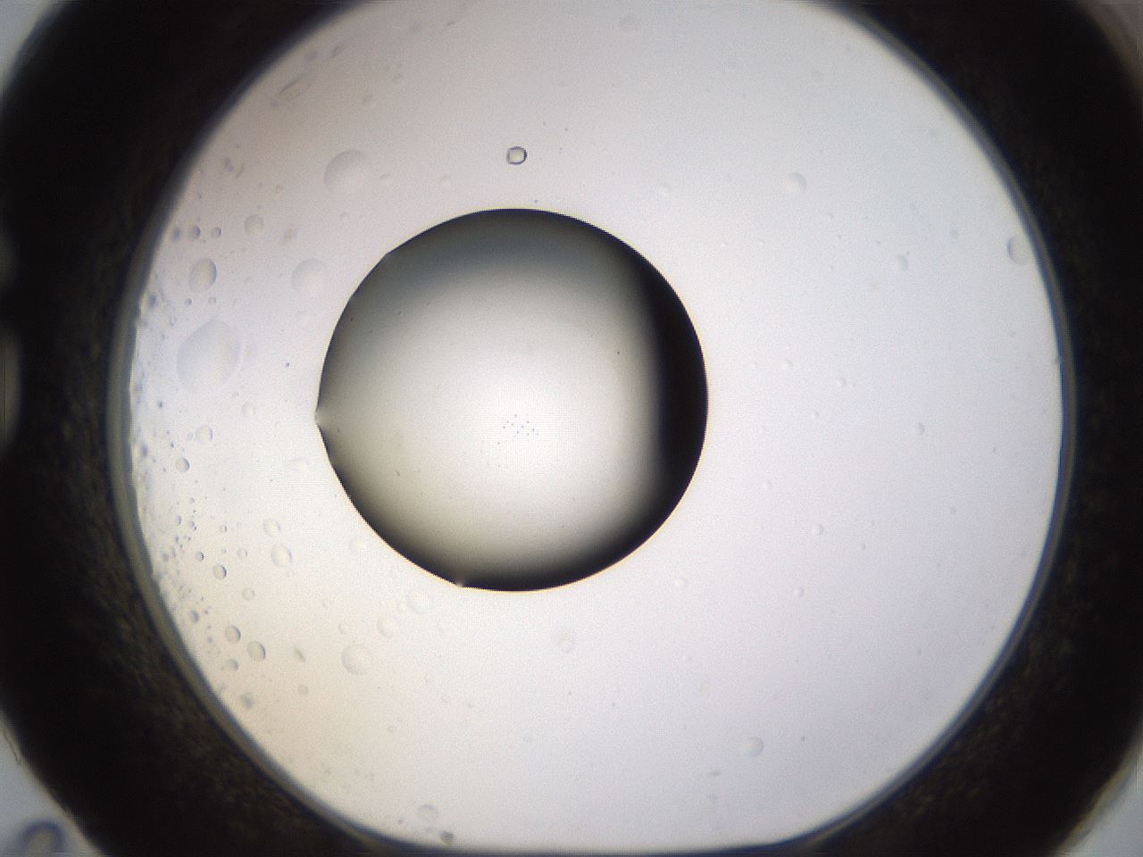 folderID395_plateID1395_batchID5058_wellNum83_profileID1_d1_r85732_ef.jpg