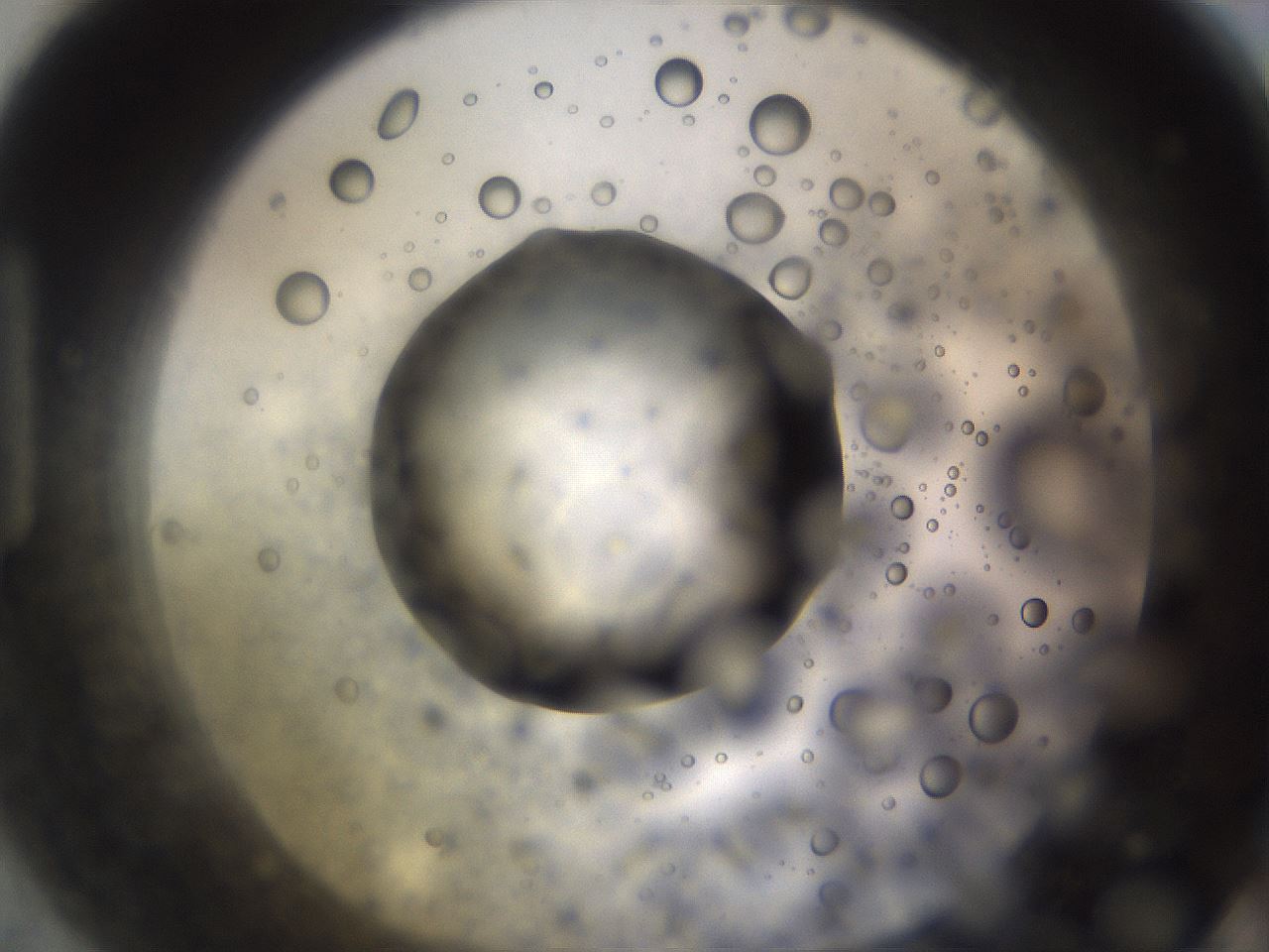 folderID395_plateID1395_batchID5058_wellNum90_profileID1_d1_r85739_ef.jpg