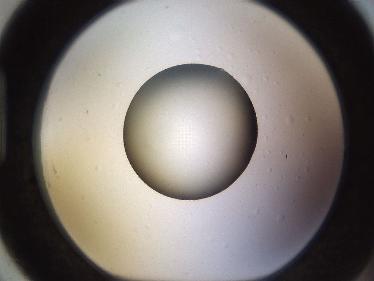 folderID395_plateID1395_batchID5058_wellNum91_profileID1_d1_r85740_ef.jpg