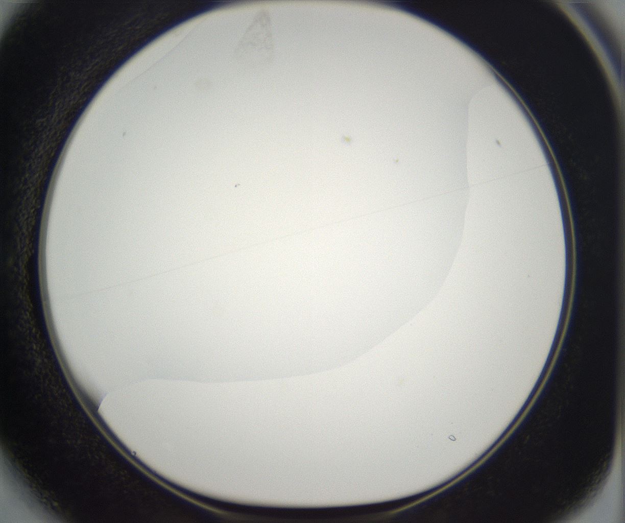 folderID395_plateID2395_batchID11264_wellNum13_profileID1_d1_r177391_ef.jpg