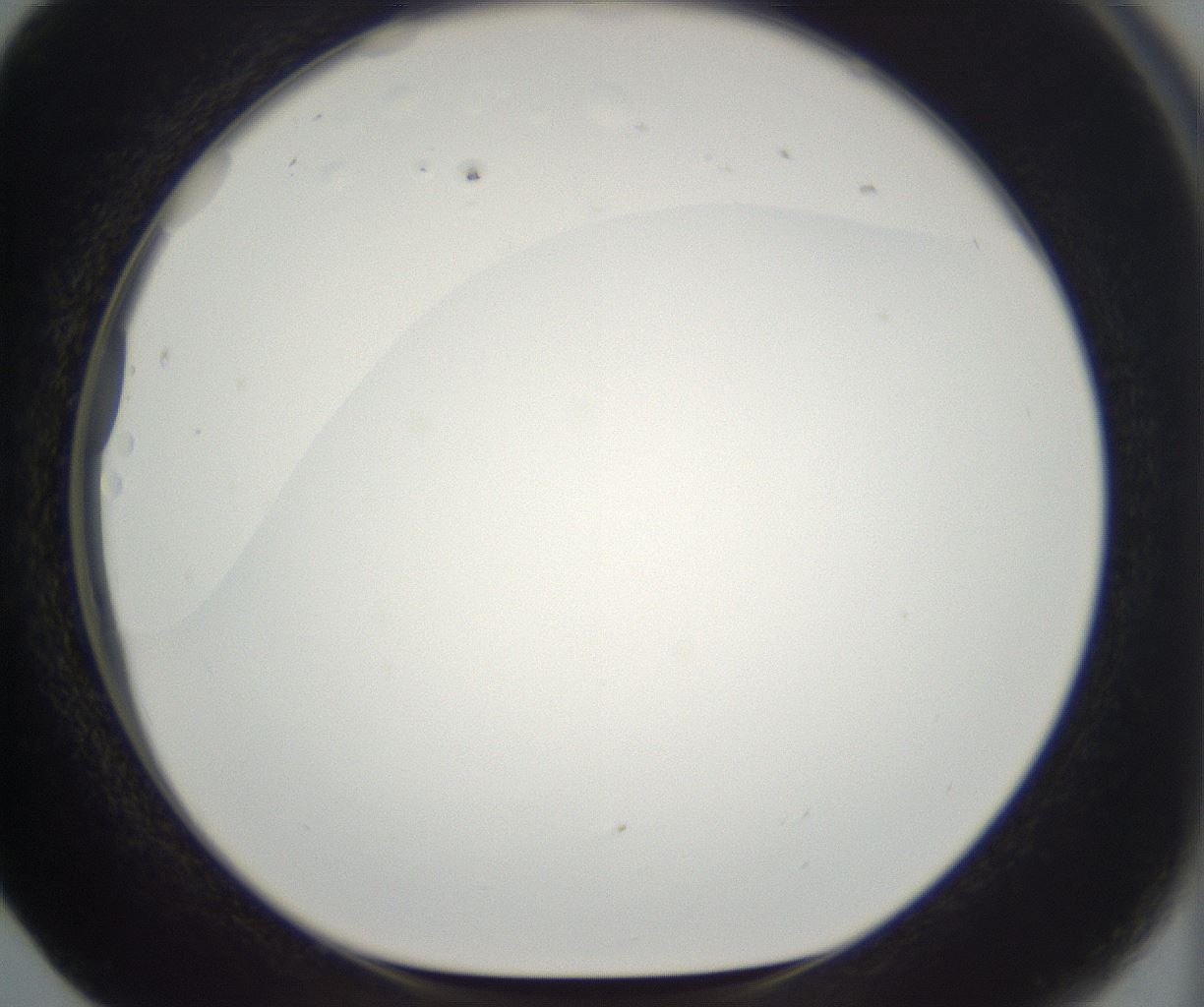 folderID395_plateID2395_batchID11264_wellNum17_profileID1_d1_r177395_ef.jpg