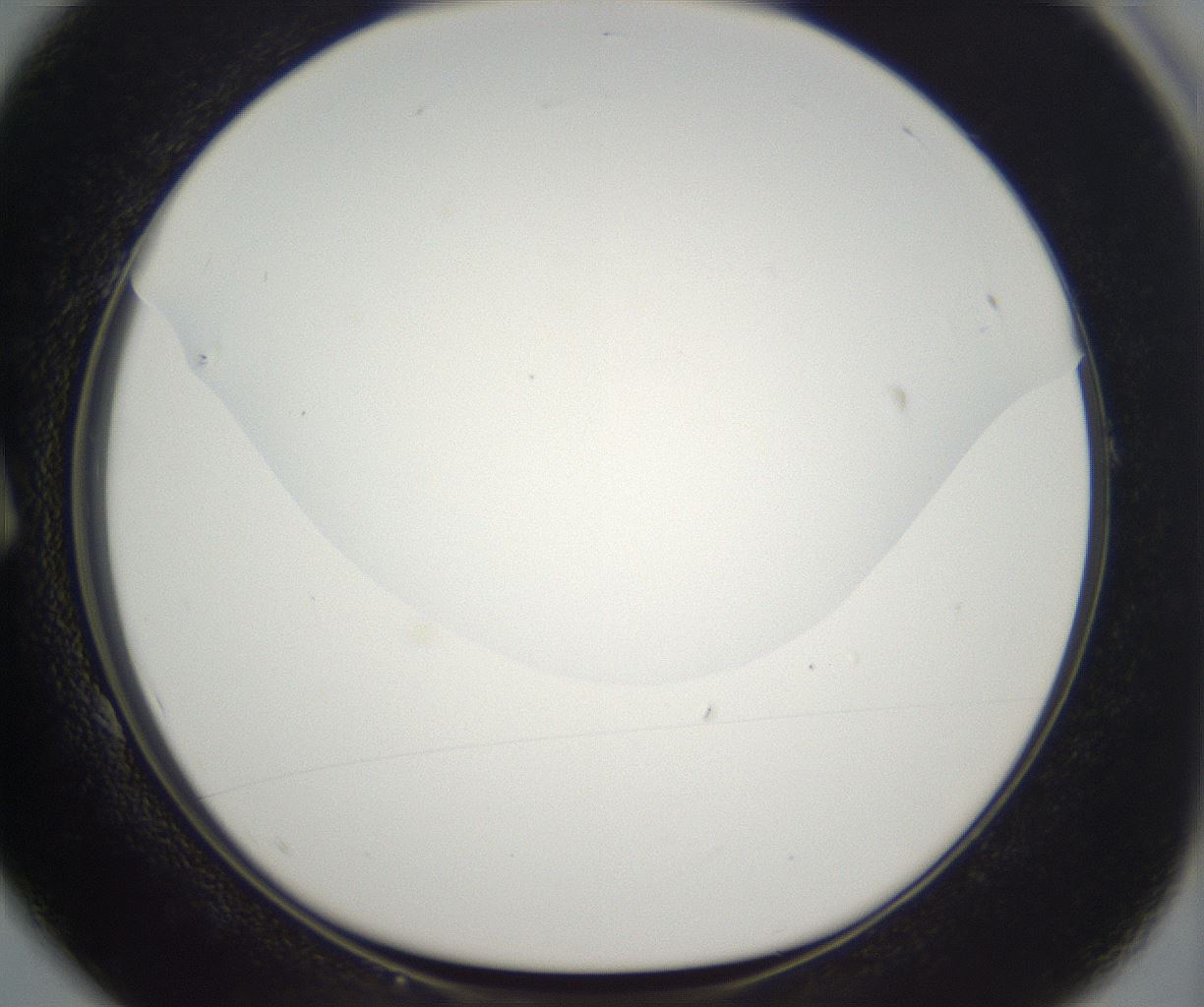 folderID395_plateID2395_batchID11264_wellNum1_profileID1_d1_r177379_ef.jpg