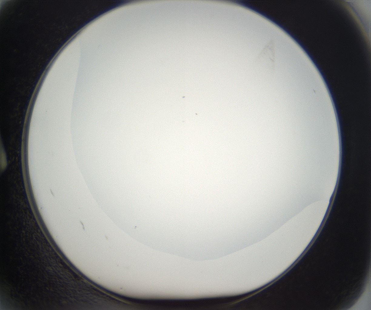 folderID395_plateID2395_batchID11264_wellNum2_profileID1_d1_r177380_ef.jpg