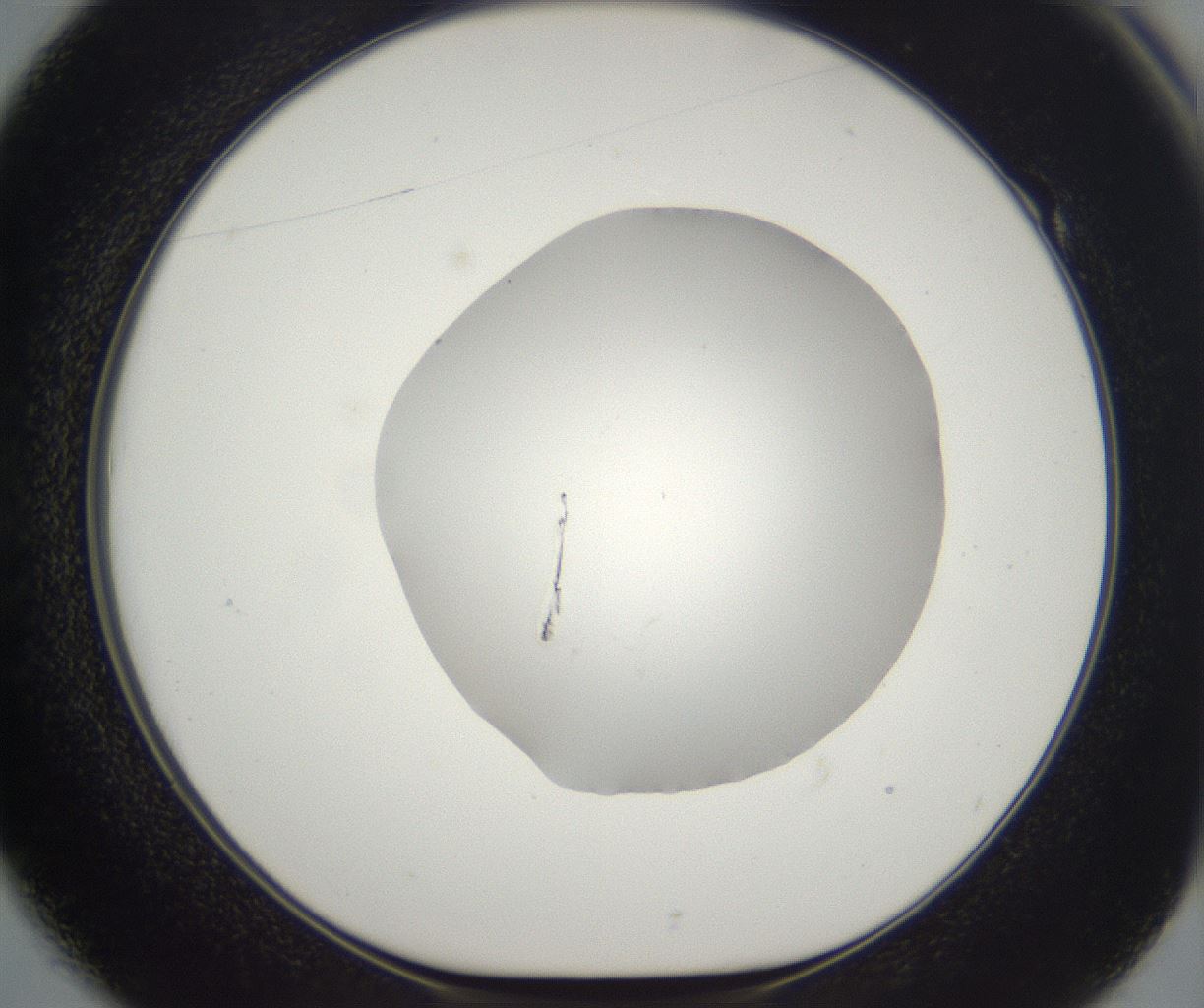 folderID395_plateID2395_batchID11264_wellNum49_profileID1_d1_r177427_ef.jpg