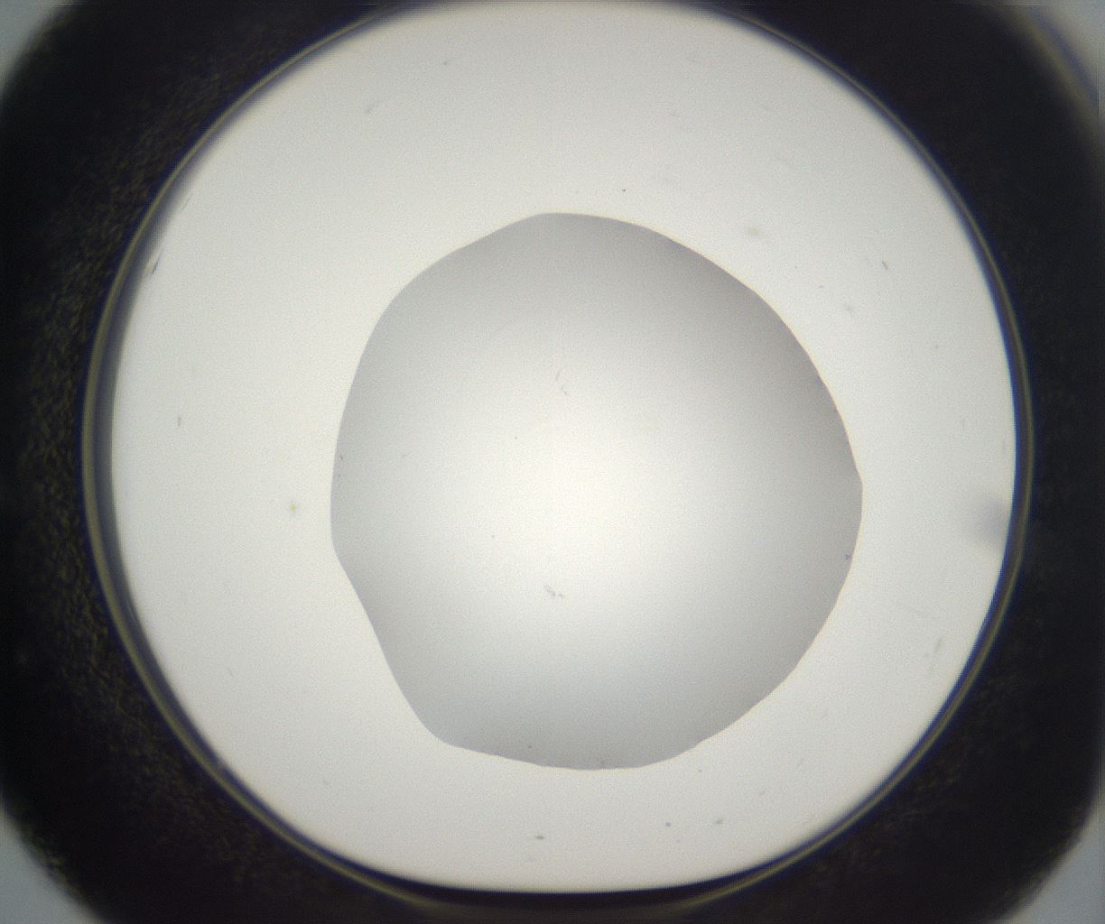 folderID395_plateID2395_batchID11264_wellNum51_profileID1_d1_r177429_ef.jpg