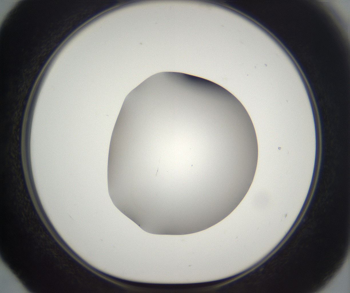 folderID395_plateID2395_batchID11264_wellNum52_profileID1_d1_r177430_ef.jpg
