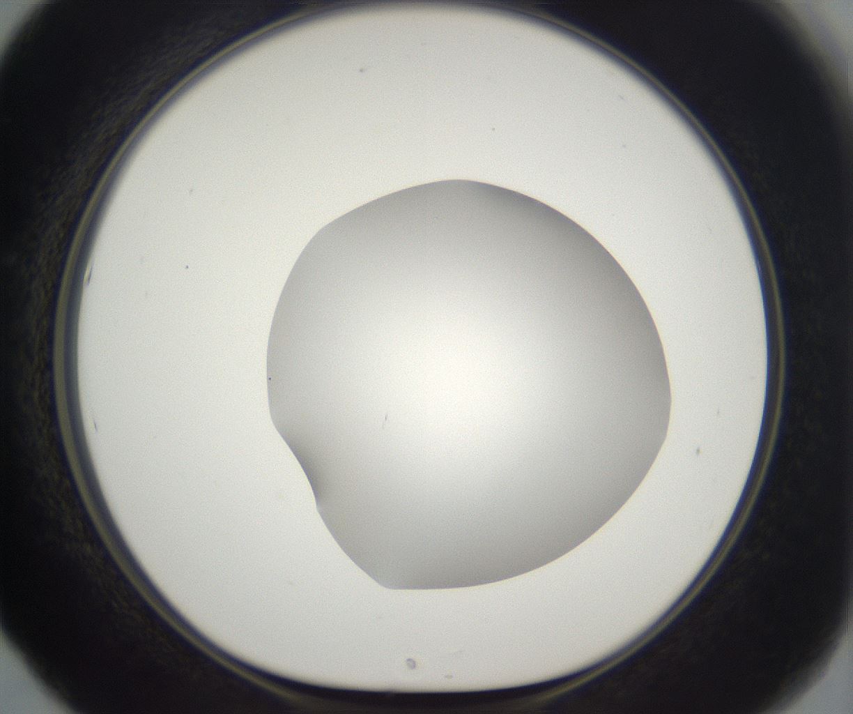 folderID395_plateID2395_batchID11264_wellNum53_profileID1_d1_r177431_ef.jpg