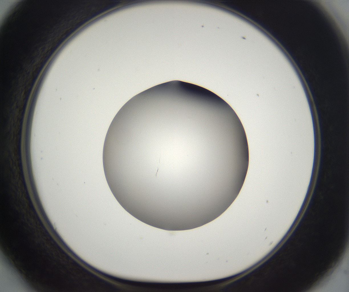 folderID395_plateID2395_batchID11264_wellNum54_profileID1_d1_r177432_ef.jpg