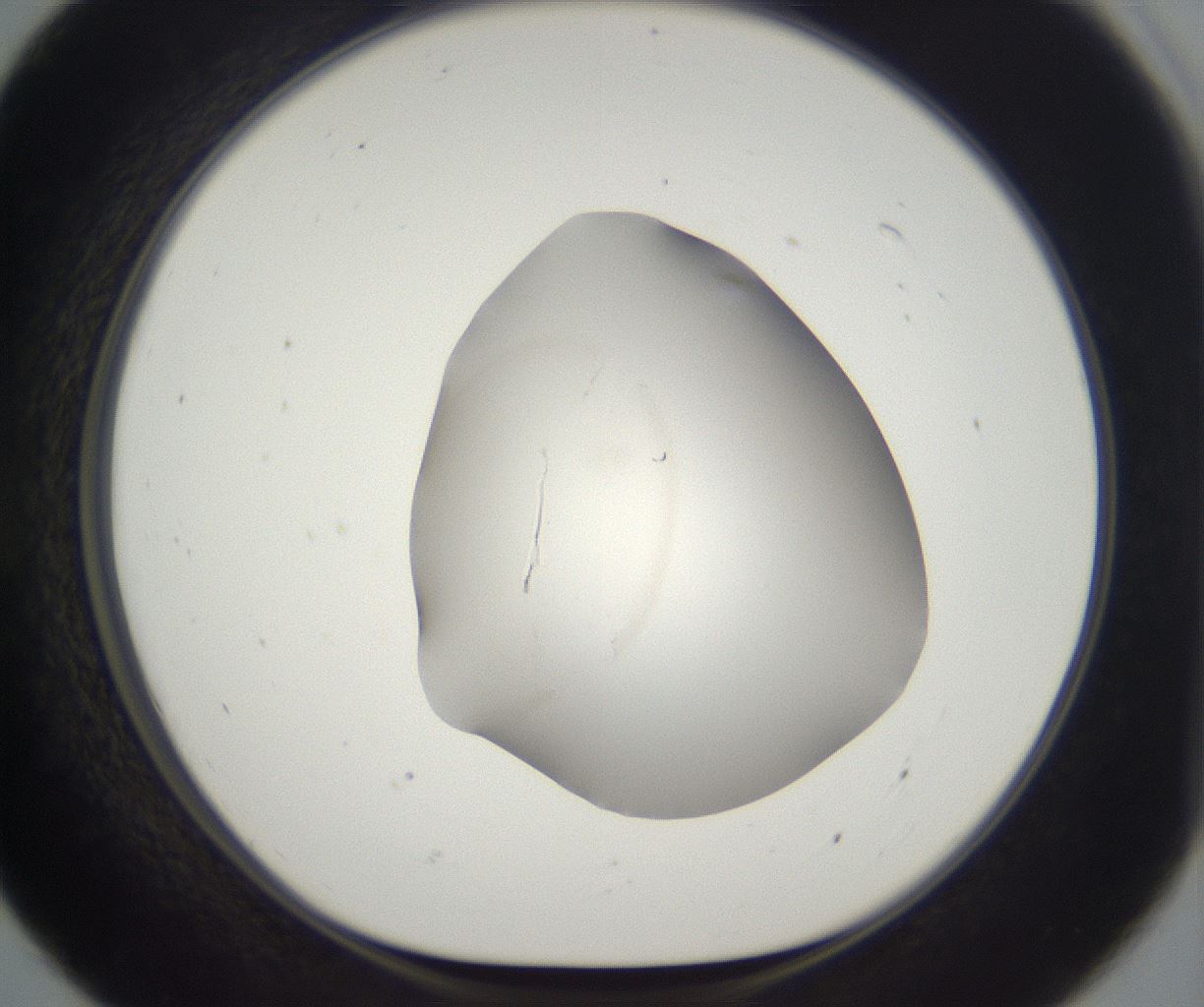 folderID395_plateID2395_batchID11264_wellNum55_profileID1_d1_r177433_ef.jpg