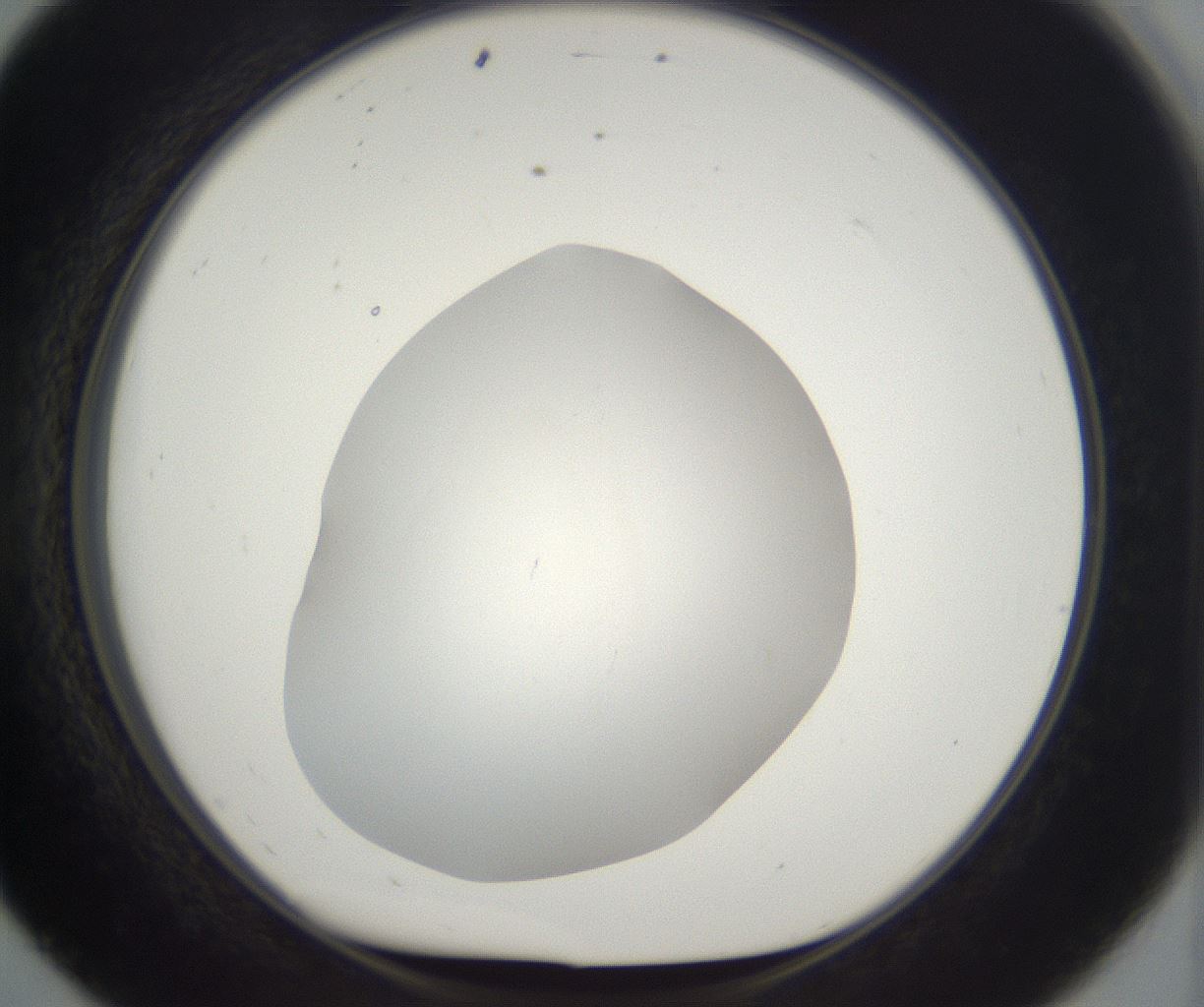 folderID395_plateID2395_batchID11264_wellNum56_profileID1_d1_r177434_ef.jpg