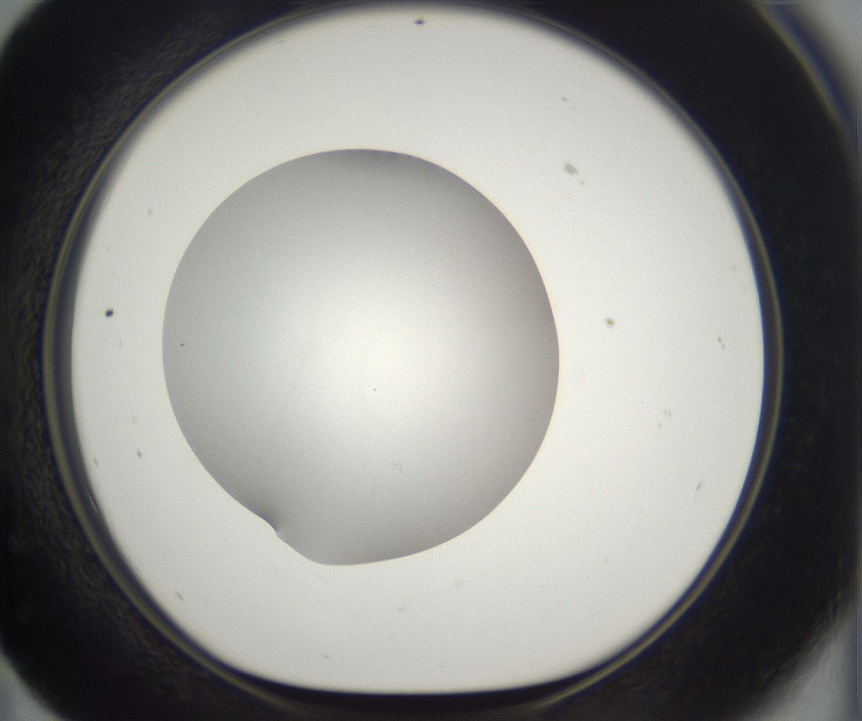 folderID395_plateID2395_batchID11264_wellNum59_profileID1_d1_r177437_ef.jpg