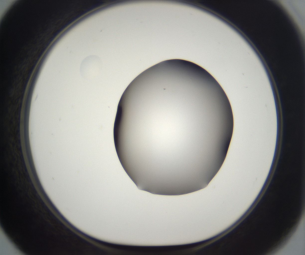 folderID395_plateID2395_batchID11264_wellNum67_profileID1_d1_r177445_ef.jpg