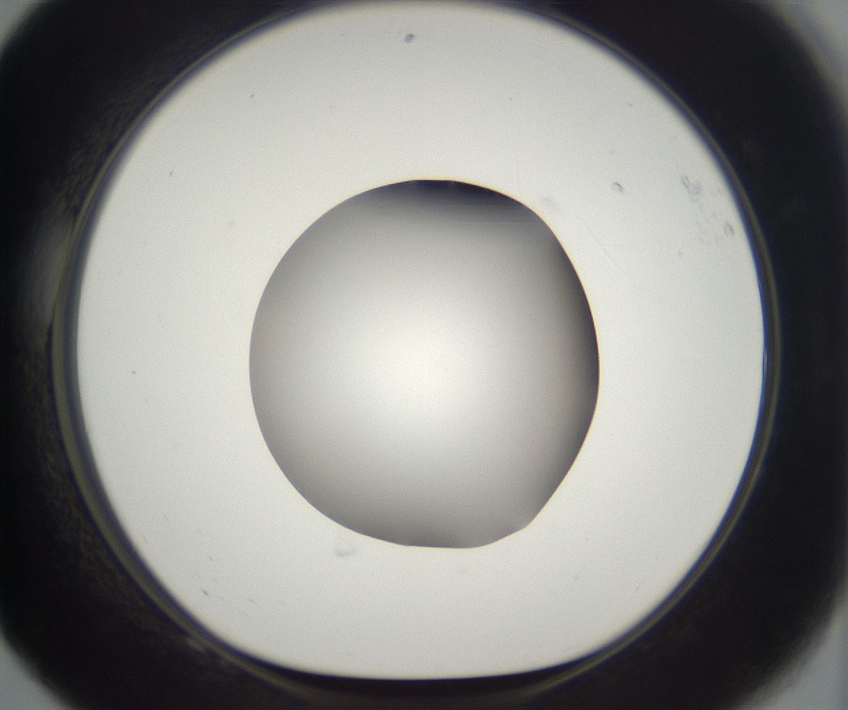 folderID395_plateID2395_batchID11264_wellNum68_profileID1_d1_r177446_ef.jpg