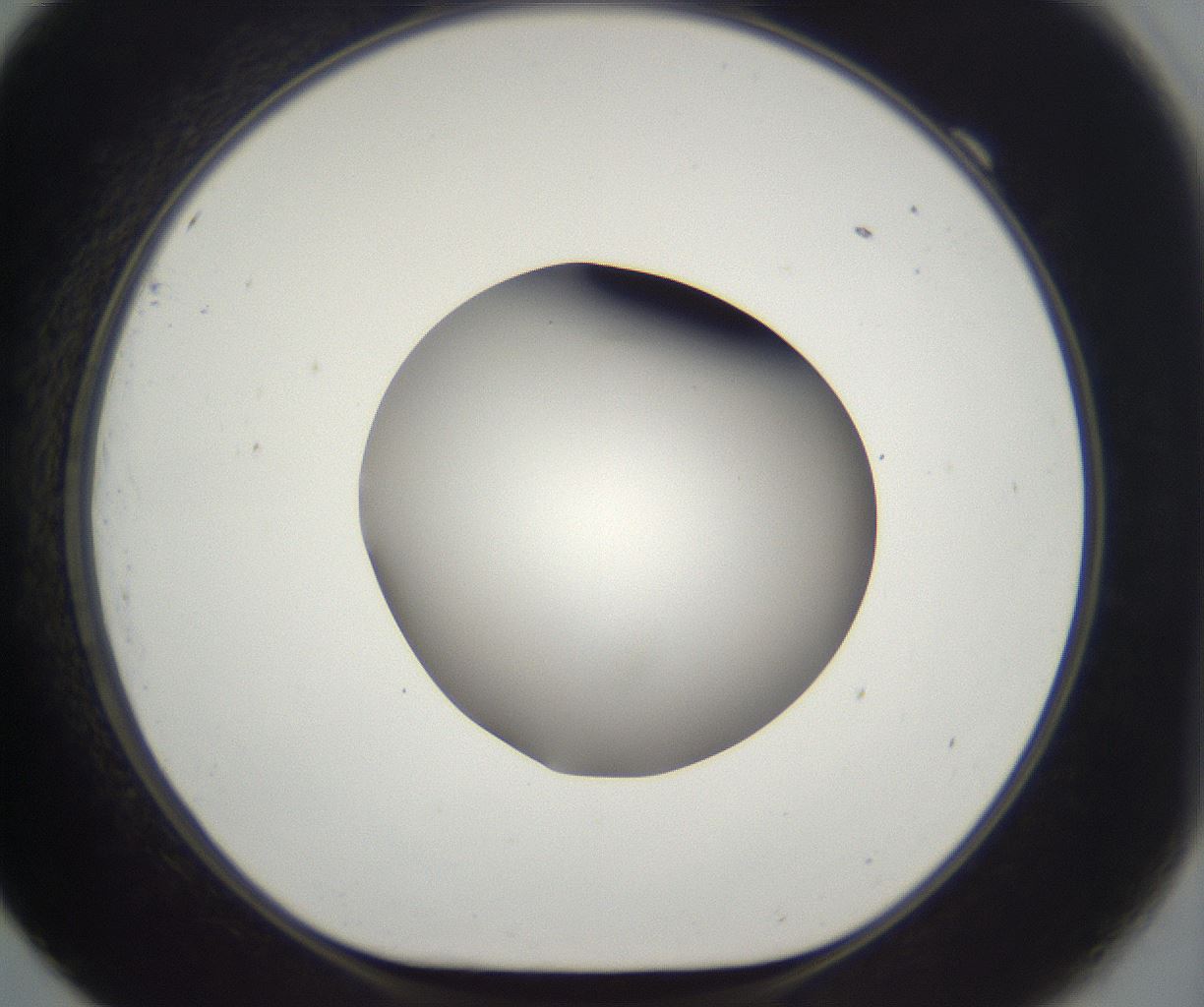 folderID395_plateID2395_batchID11264_wellNum69_profileID1_d1_r177447_ef.jpg