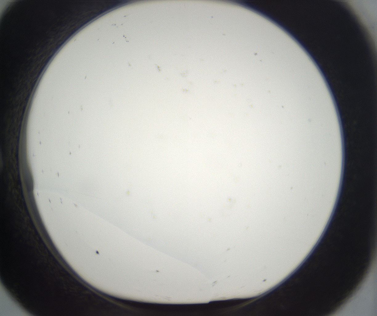 folderID395_plateID2395_batchID11264_wellNum8_profileID1_d1_r177386_ef.jpg