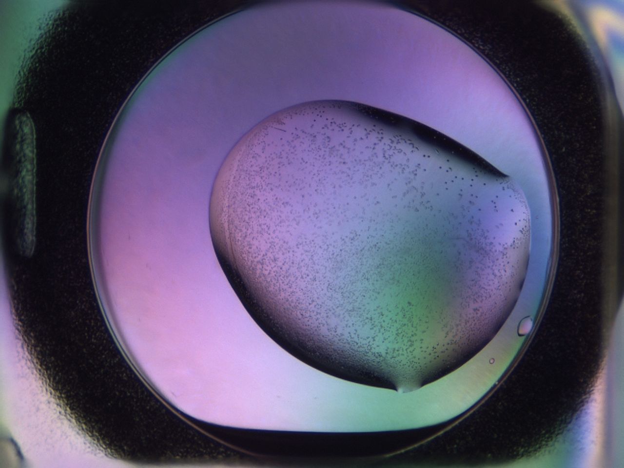 02km_H9_ImagerDefaults_9.jpg