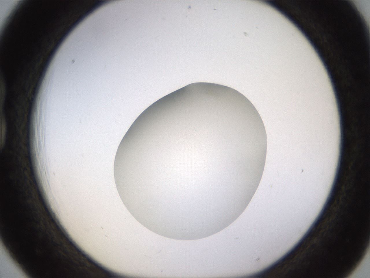 folderID396_plateID1396_batchID5051_wellNum18_profileID1_d1_r85091_ef.jpg