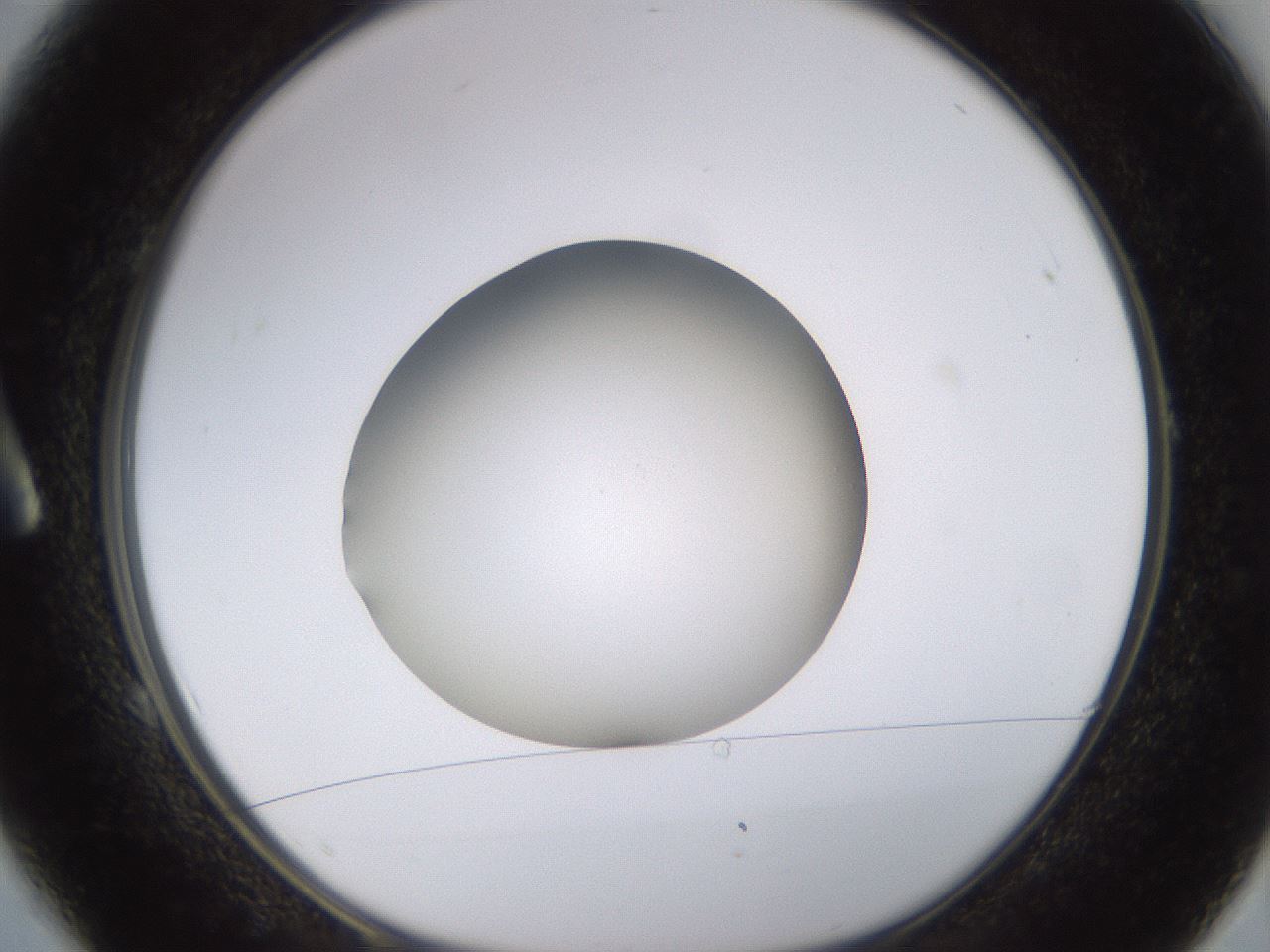 folderID396_plateID1396_batchID5051_wellNum1_profileID1_d1_r85074_ef.jpg