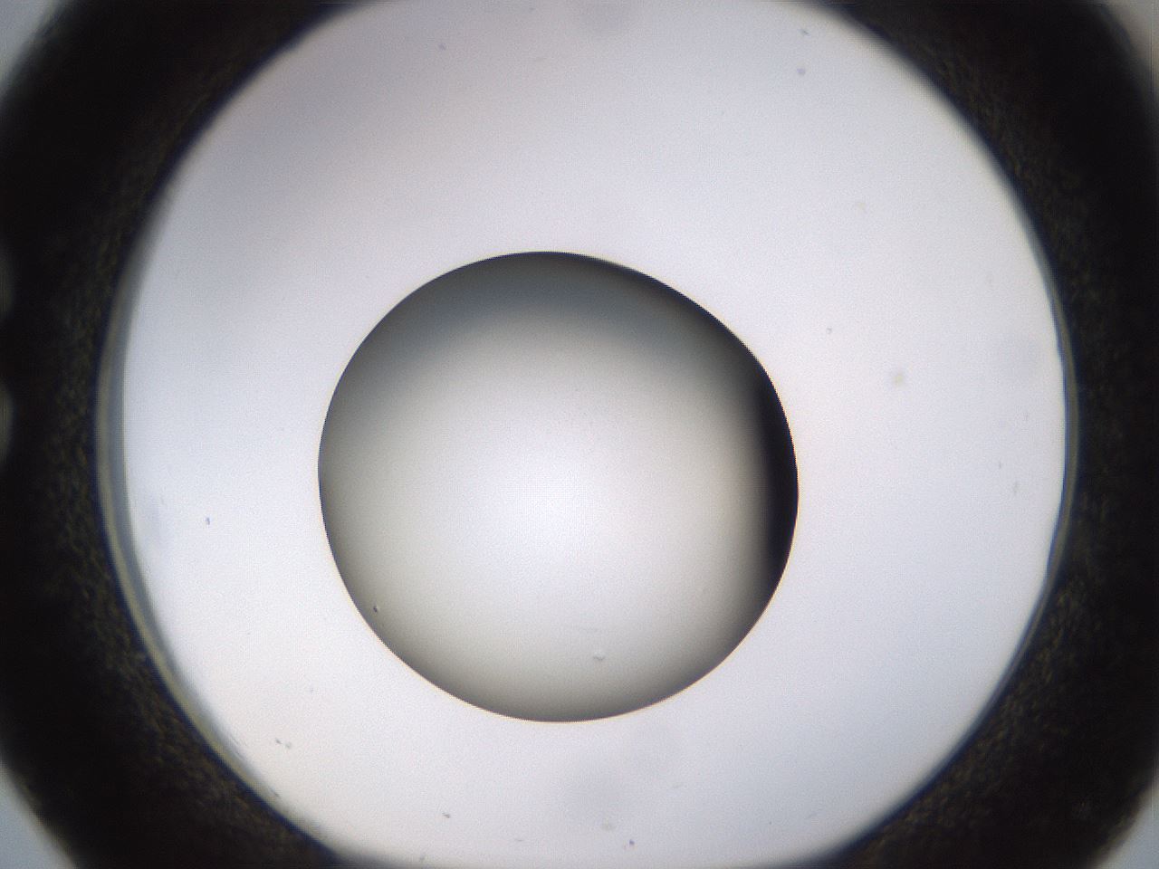 folderID396_plateID1396_batchID5051_wellNum26_profileID1_d1_r85099_ef.jpg