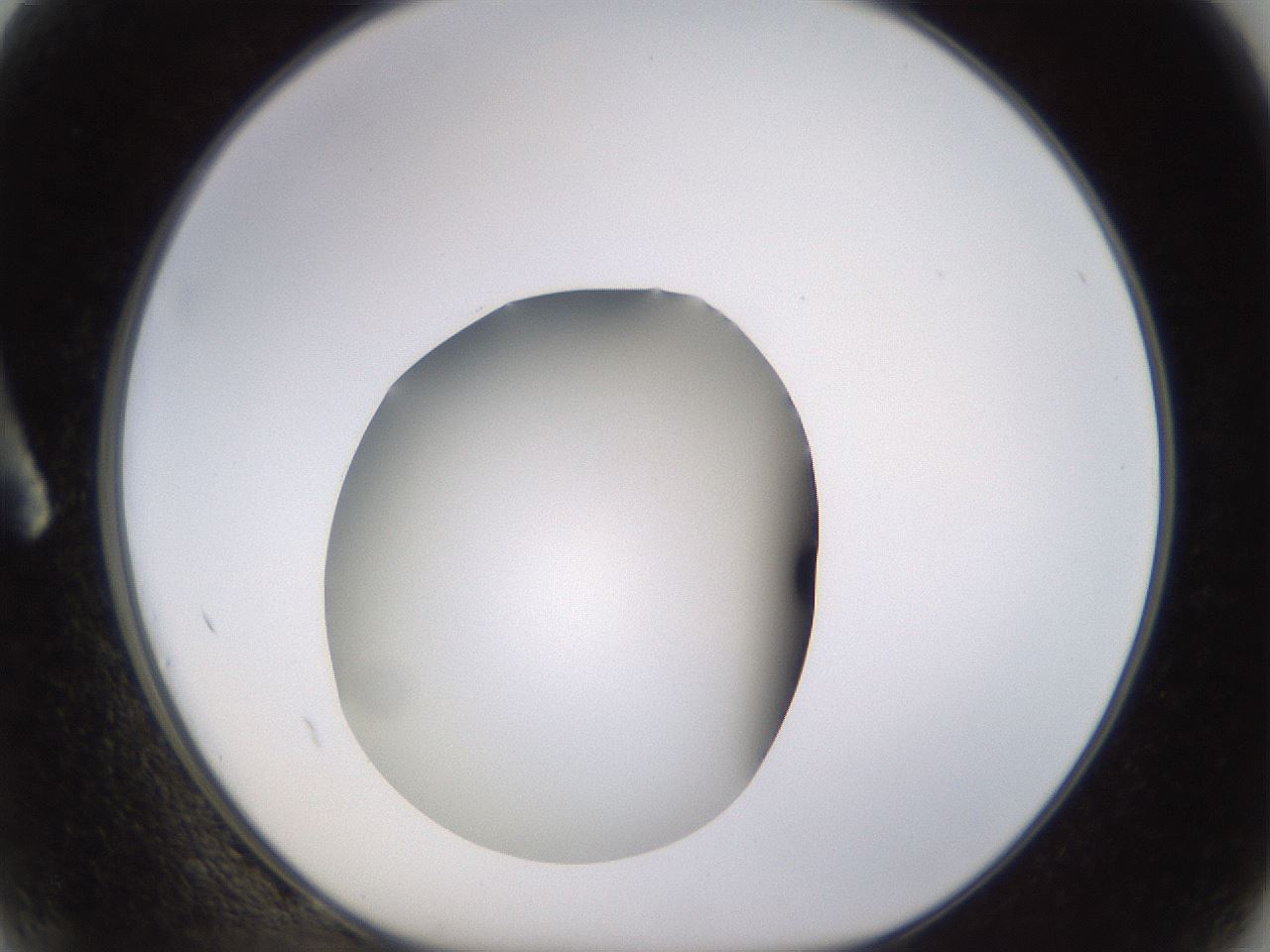 folderID396_plateID1396_batchID5051_wellNum2_profileID1_d1_r85075_ef.jpg