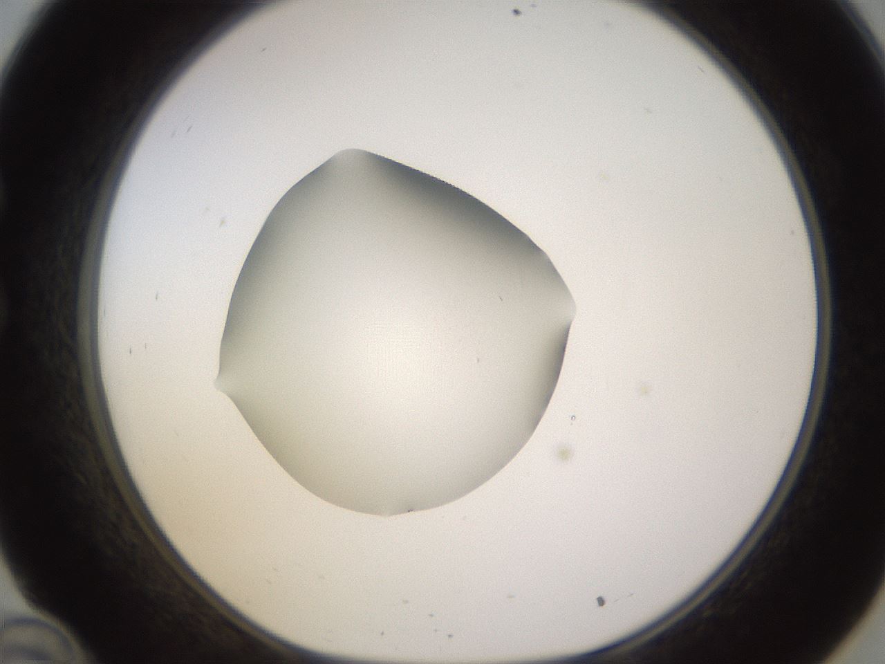 folderID396_plateID1396_batchID5051_wellNum34_profileID1_d1_r85107_ef.jpg