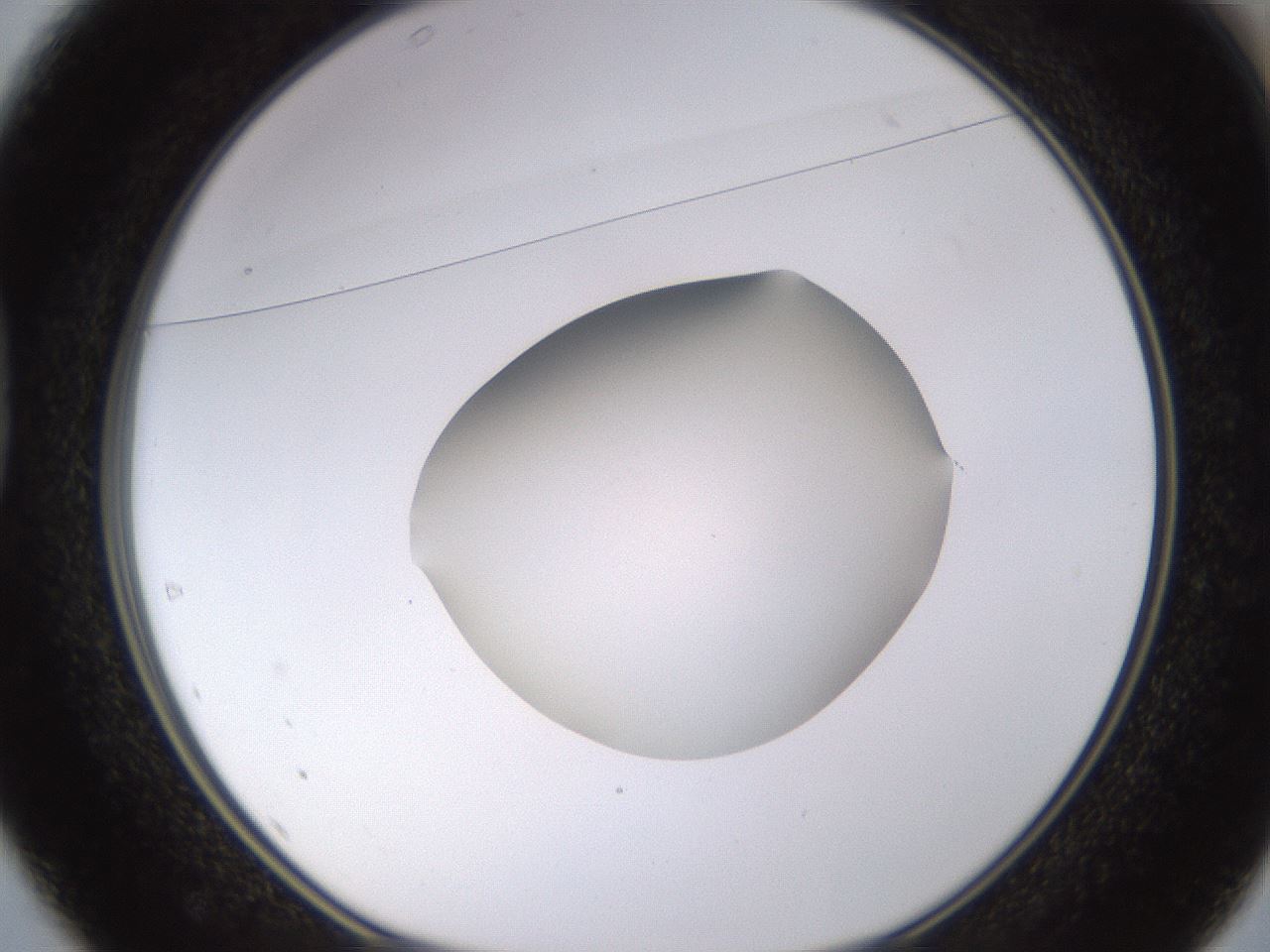 folderID396_plateID1396_batchID5051_wellNum37_profileID1_d1_r85110_ef.jpg
