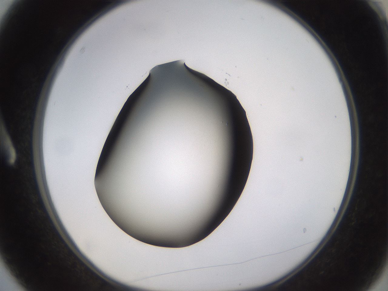 folderID396_plateID1396_batchID5051_wellNum3_profileID1_d1_r85076_ef.jpg